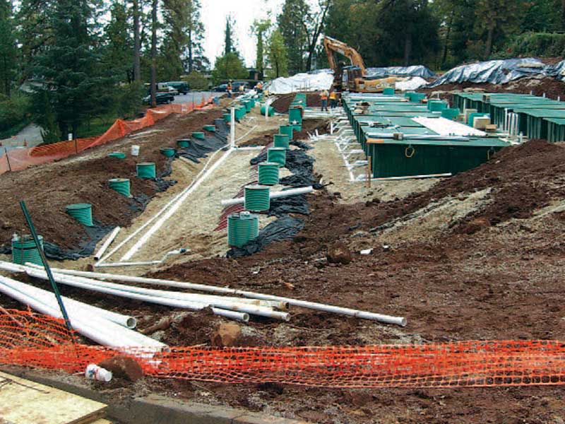 Rows of Orenco pods open for inspection