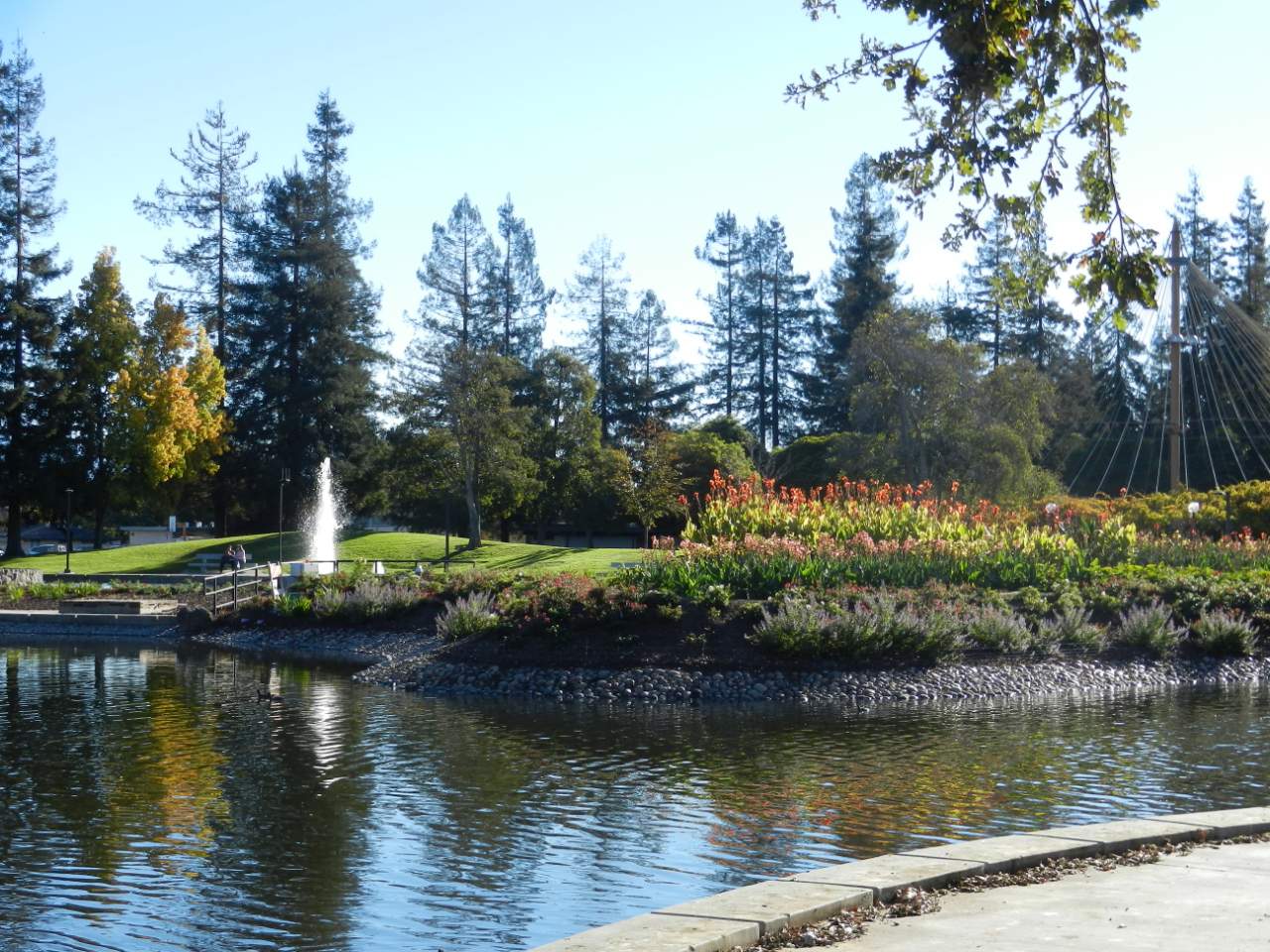 Constructed Wetlands Is Saving Silicon Valley Water