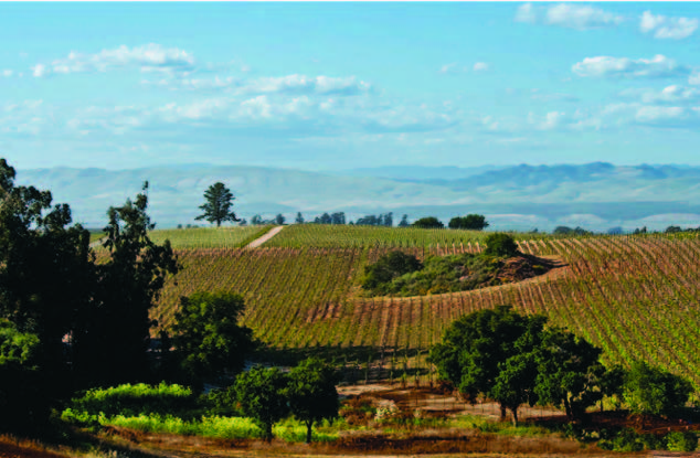 Major Napa Valley Winery Completes Pond Improvement Project